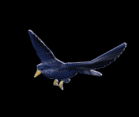 oiseau